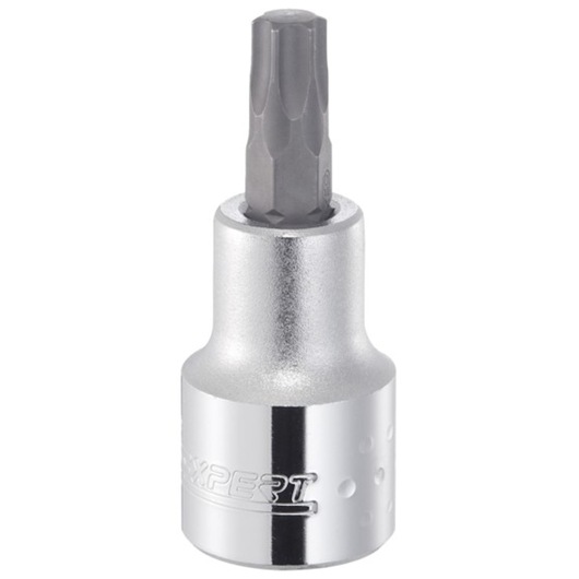 Facom E031918 silver and gray socket bit tool, front angle on white background.