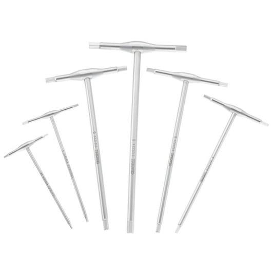 Facom E121229 silver T-handle hex key set, six pieces, arranged fan shape, front angle on white background.