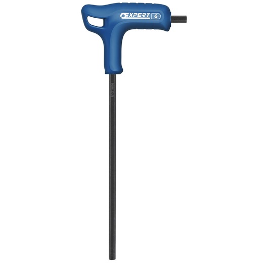 Facom E121606 hex T-handle wrench with blue grip, front angle, Expert branding visible.