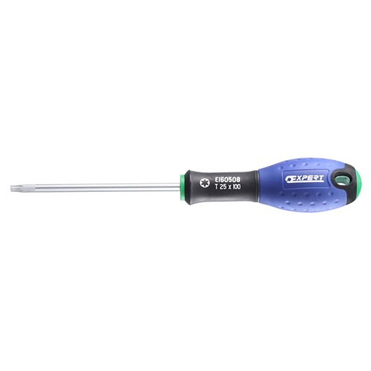 Facom E160502 Torx screwdriver with blue and black ergonomic handle, product photography on white background.