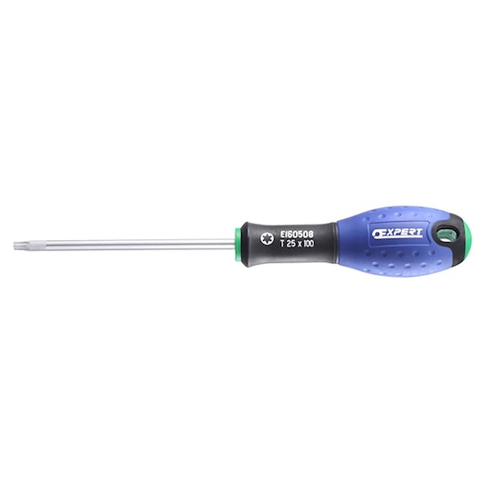 Facom E160511 blue and black Torx screwdriver with ergonomic handle, side angle, white background.