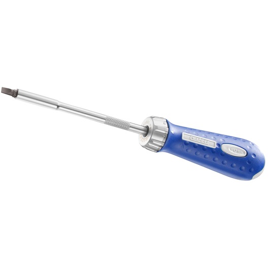 Facom E160801 screwdriver with blue textured handle and silver shaft, side angle, white background.