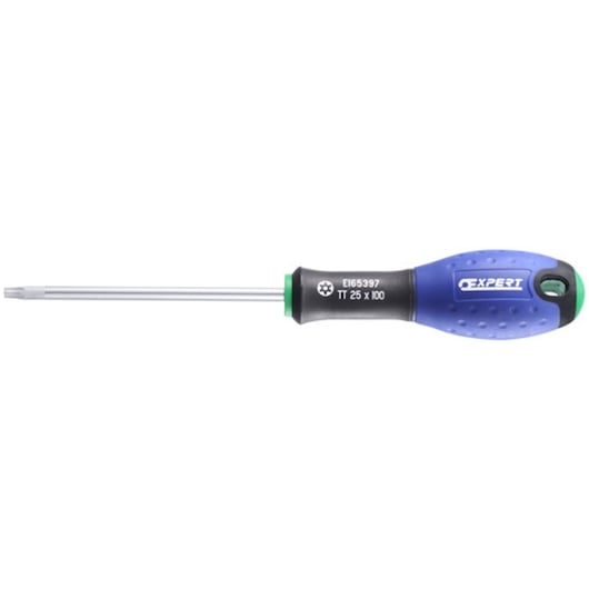 Facom E165340 Torx screwdriver with blue and black ergonomic handle, silver shaft, front view on white background.