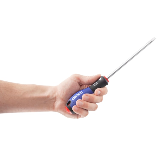 Facom E165482 screwdriver with blue and black ergonomic handle, held in a hand, side view on white background.