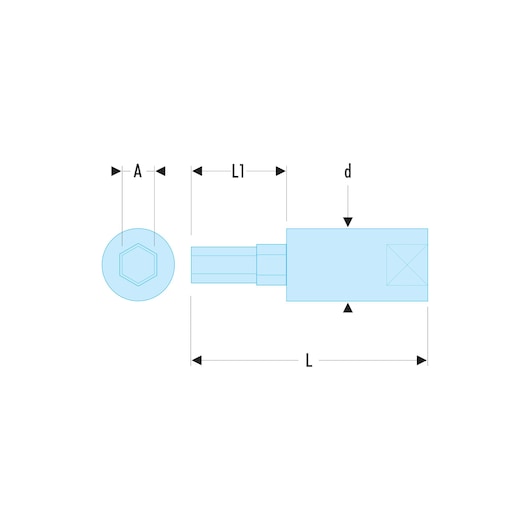1/4 in. Hexagonal Bit Socket, 10 mm