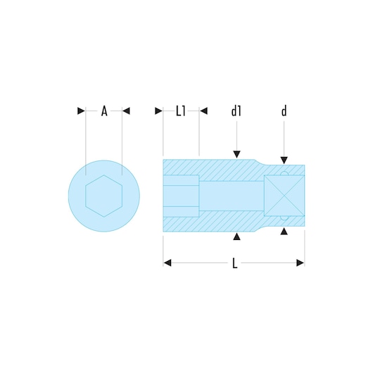 1/2 in. Socket, 6-point